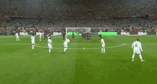 伦敦奥运马术冠军与爱马同日安乐死：二十载相伴书写辉煌传奇