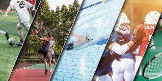 赛艇劈波斩浪，运动员盛赞广东赛事保障